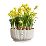 vibes fold bowl 25cm linen white